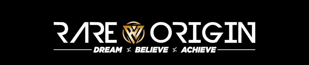 RAREORIGIN SUNSTRIP BANNER